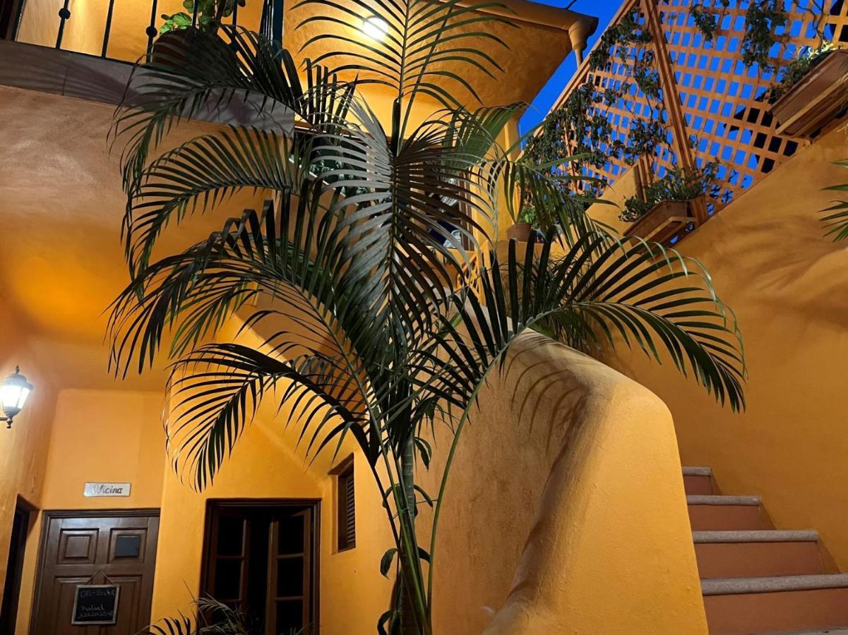 Villa La Sirena 巴亞爾塔港 外观 照片